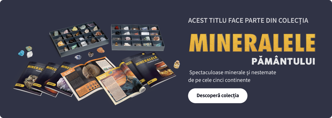 Subscription Banner