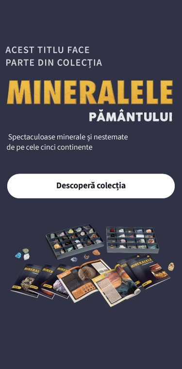 Subscription Banner